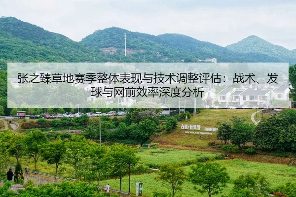 张之臻草地赛季整体表现与技术调整评估：战术、发球与网前效率深度分析